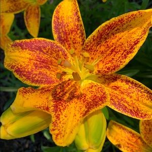 Meet your Posher, Mark